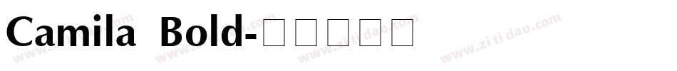 Camila Bold字体转换